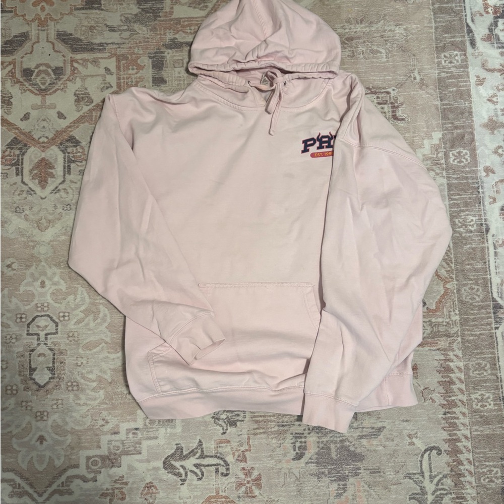 Light Pink Party Animal hoddie